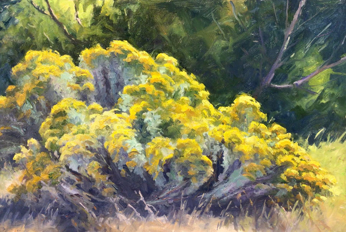 Rabbit Brush Winthrop Gallery