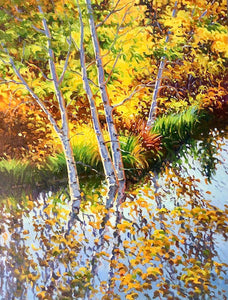 Aspen Reflection