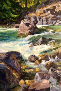 Stehekin River Study II