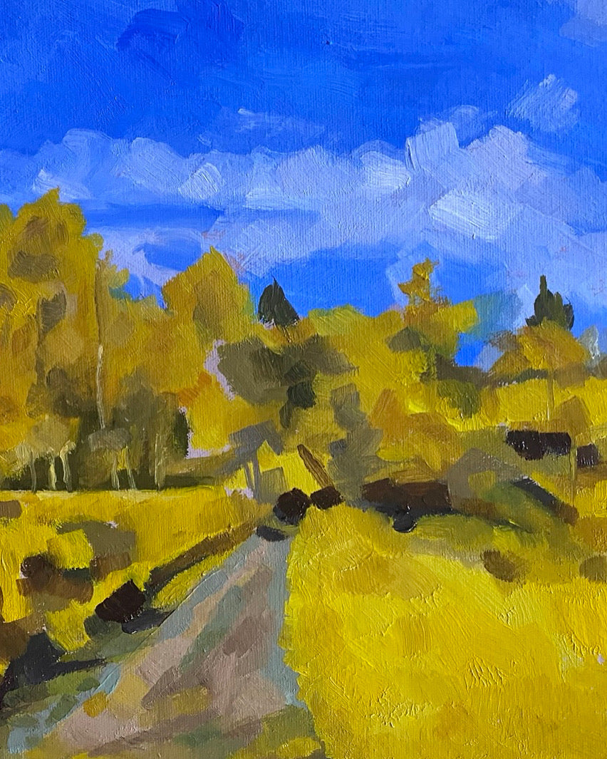 Aspen Grove with Path in the Methow Valley