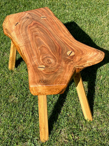 Live Edge Stool