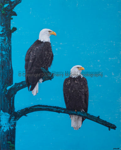 Eagles On Blue