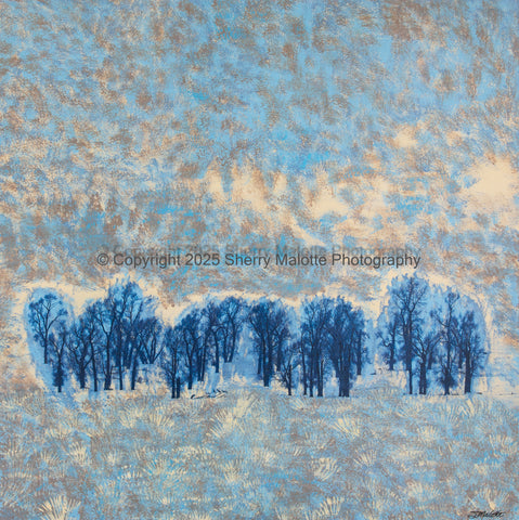 Grove In Blue