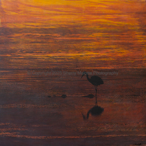 Heron At Sunset