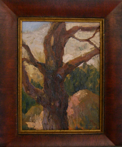 Pine Tree