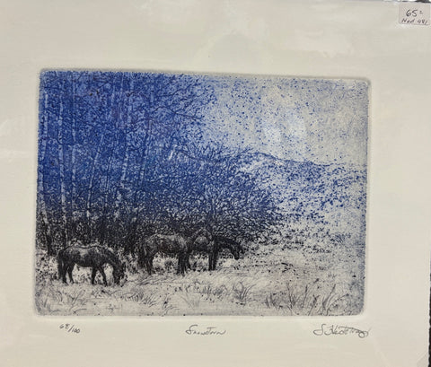 HED481 Snowstorm
