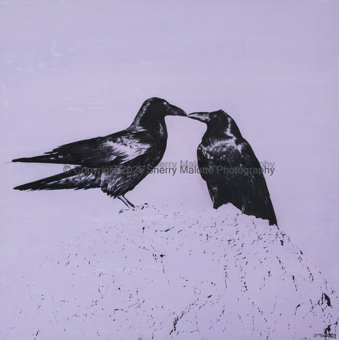 Raven Kisses