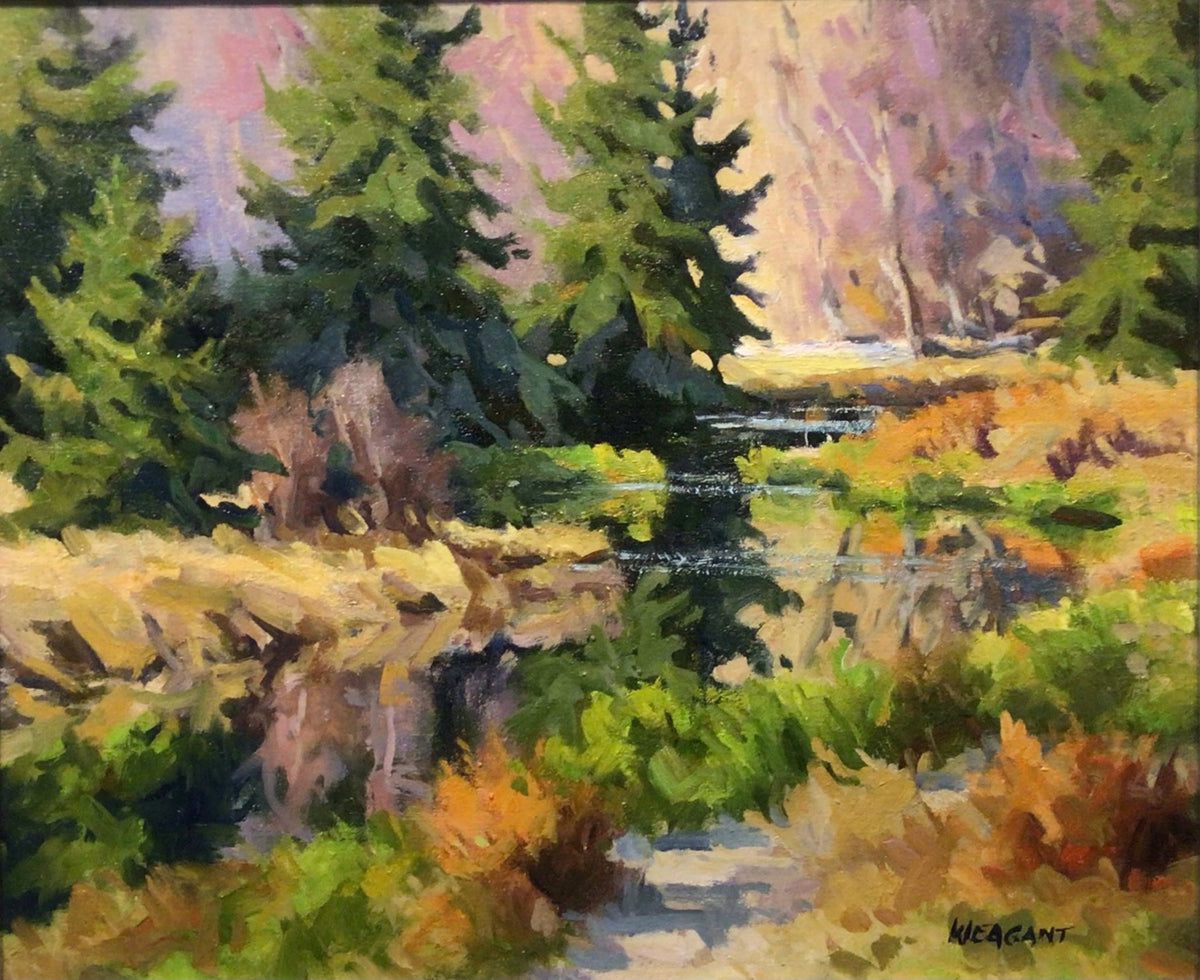 Twisp Valley Ponds – Winthrop Gallery