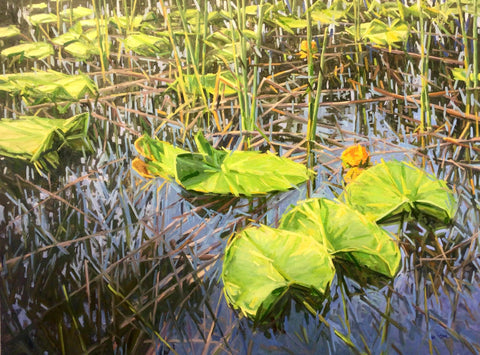 Roger Lake Lilies