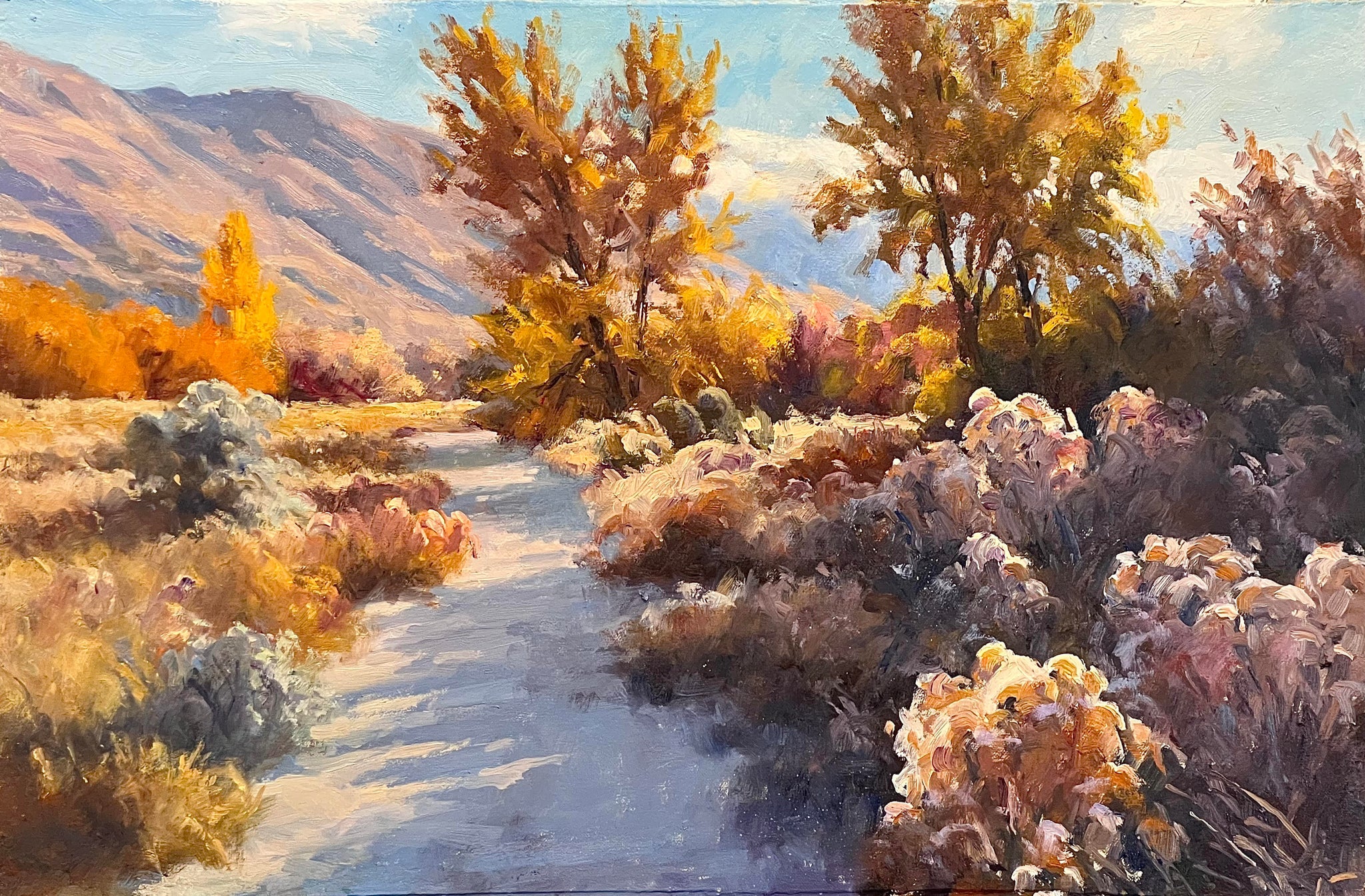 Chelan Springs – Winthrop Gallery